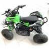 Elektro Kinderquad 1060W 36V Renegade Brushless e-drive24