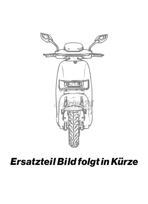 Verkleidung vorne schwarz Robo S von e-drive24