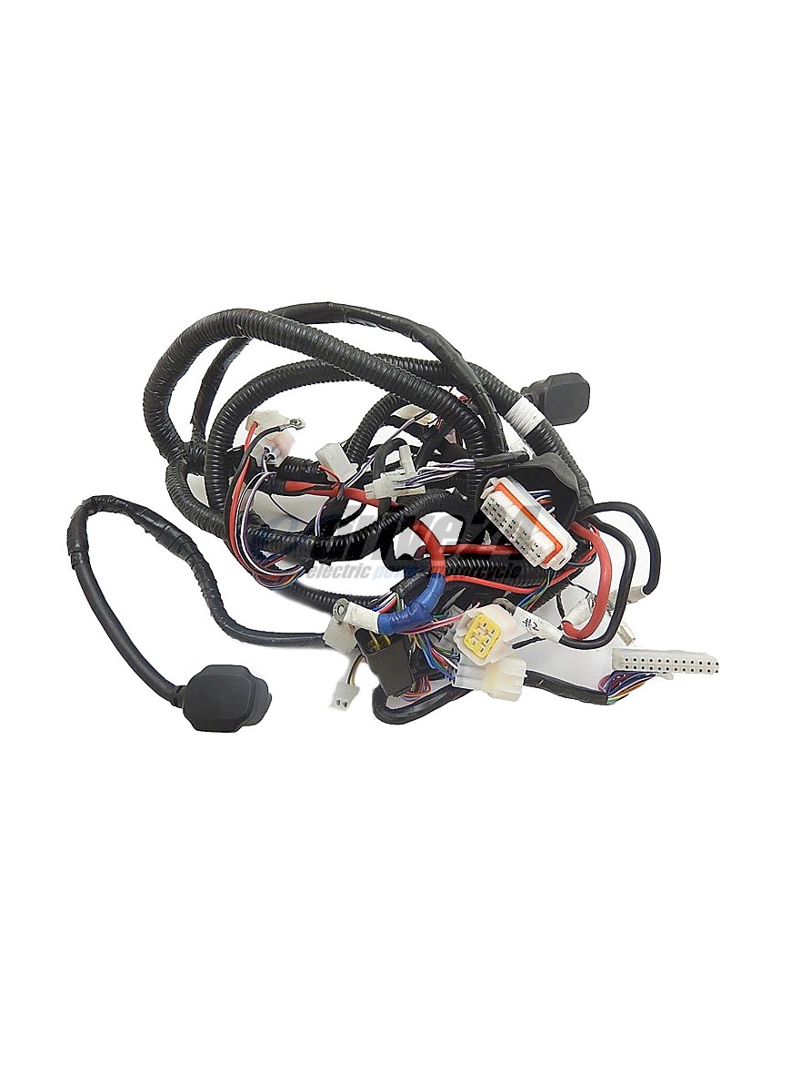 Kabelbaum M1( Pro, Sport)