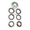 Lenkkopflagersatz ab 2024 City Max RR