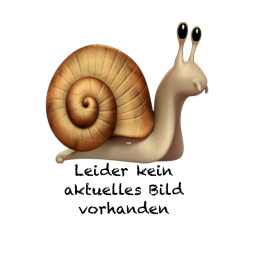 Niu Bremsklotz-Satz hinten - 70104002