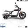 HL 6.0 DS 25 Km/h Elektro Roller