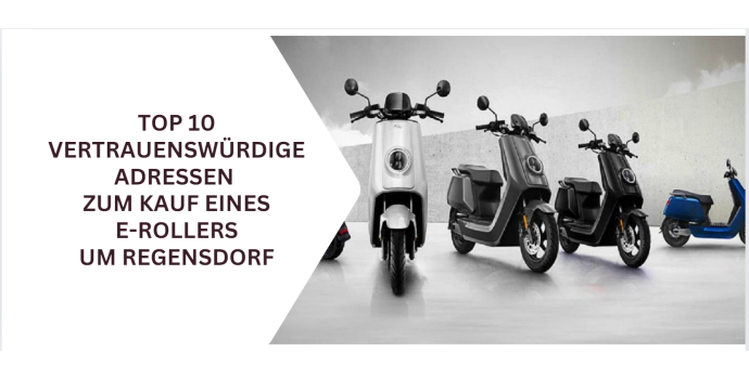 Top 10 Vertrauenswürdige Adressen zum Kauf eines E-Rollers um Regensdorf